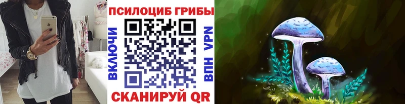 Псилоцибиновые грибы Psilocybine cubensis  Любань 